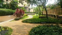 Thomson 800 (D11), Condominium #124996062